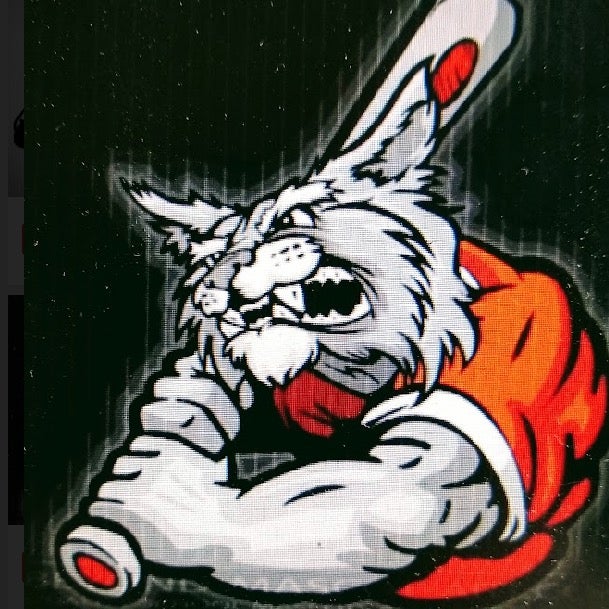 Hugo Rodriguez mugshot