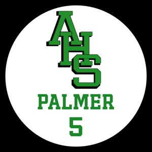 Dylan Palmer mugshot