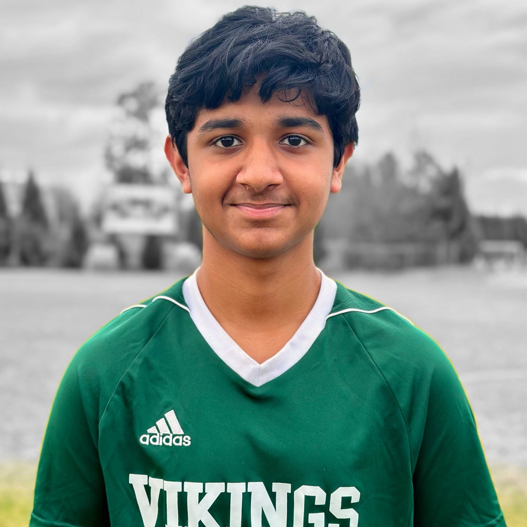 Anish Verma mugshot