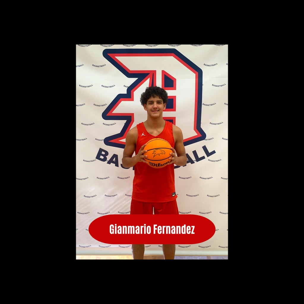Gianmario Fernandez mugshot
