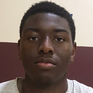 Michael Bolaji mugshot