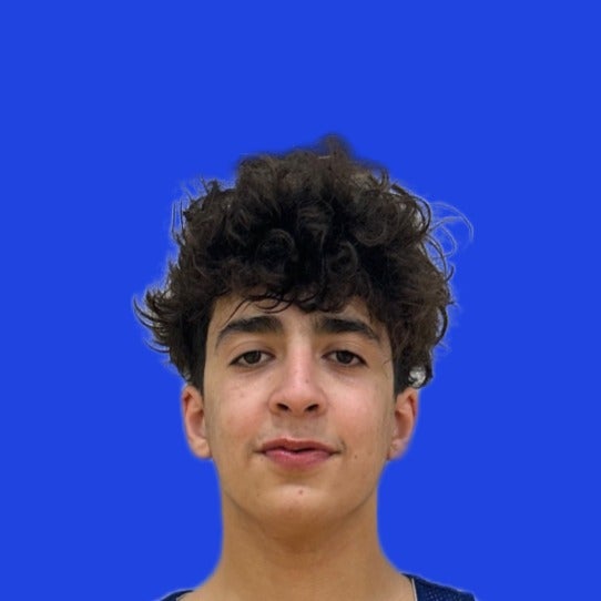 Tal  Kessous mugshot
