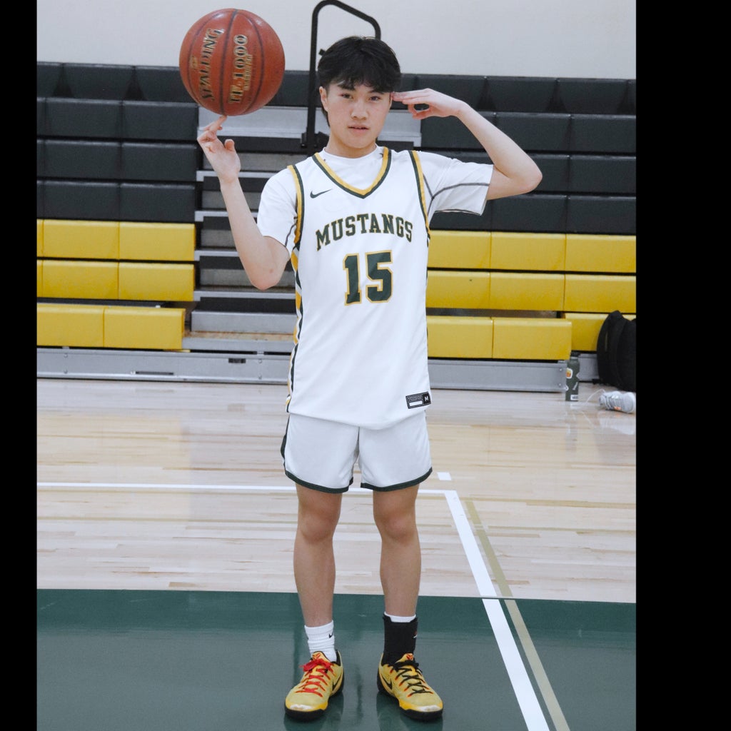 Joshua Lim mugshot