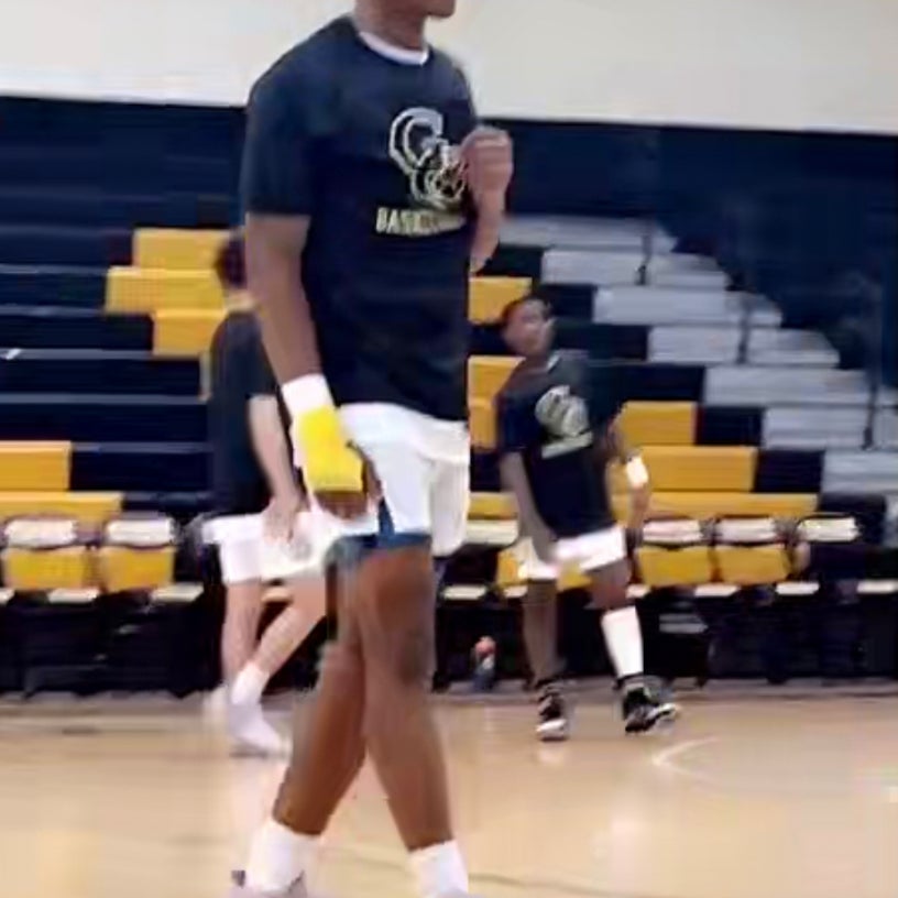 Laryous Burt mugshot