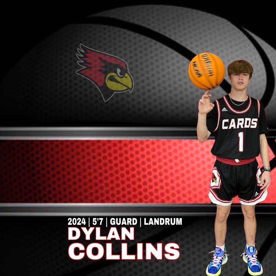 Dylan Collins mugshot