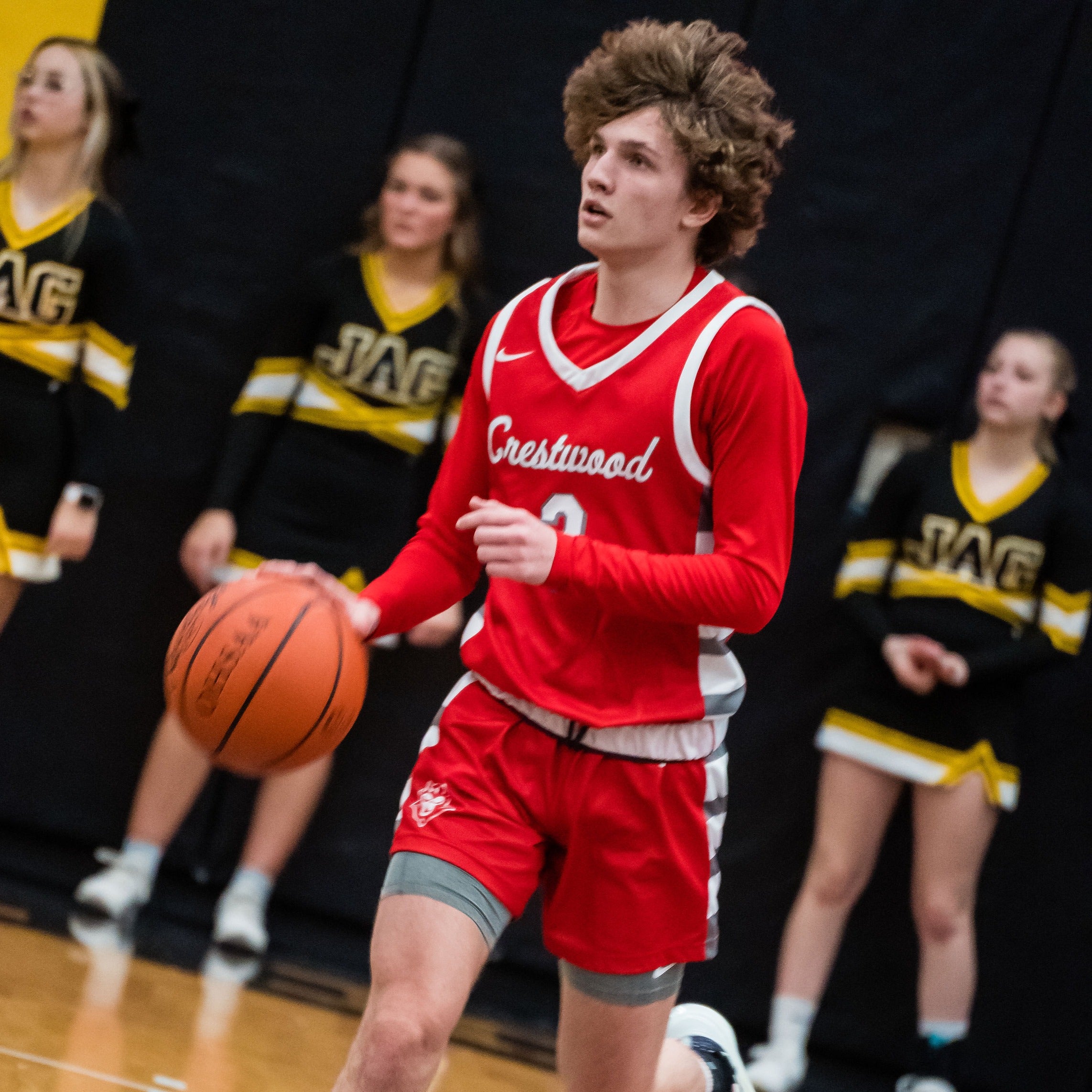 Dekota Johnson mugshot