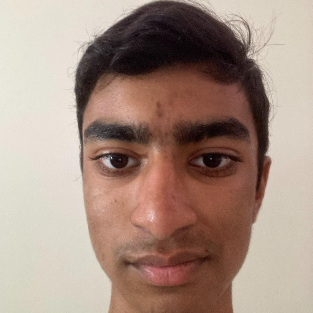 Vaibhav Sridhar mugshot