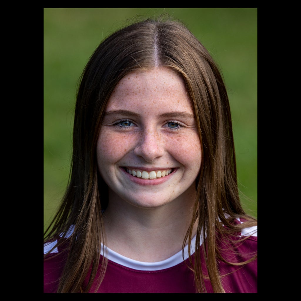 Brigid Mcbride mugshot