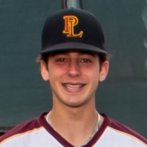 Andrew D'Arrigo mugshot