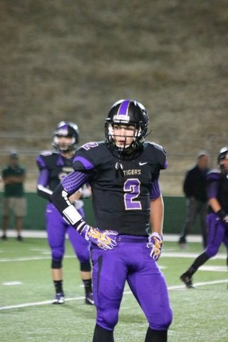 Tj Gotelli