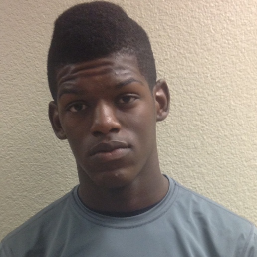 My-King Johnson mugshot