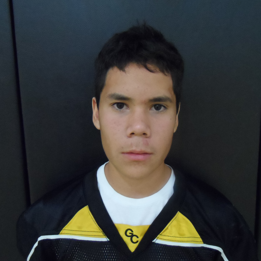 Manny Gomez mugshot