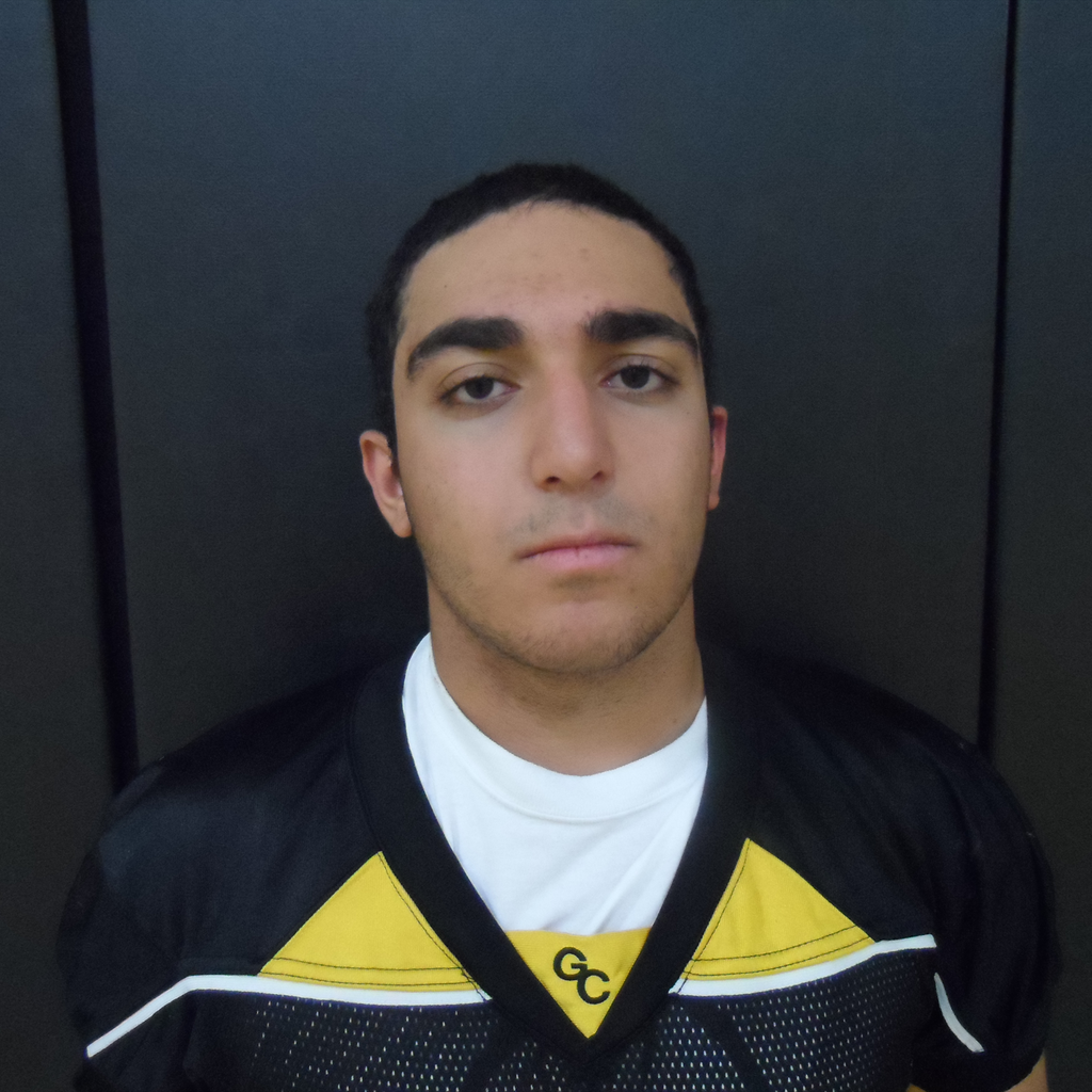 Sam Ghaffari mugshot