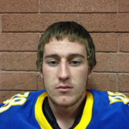 Brady Saline mugshot