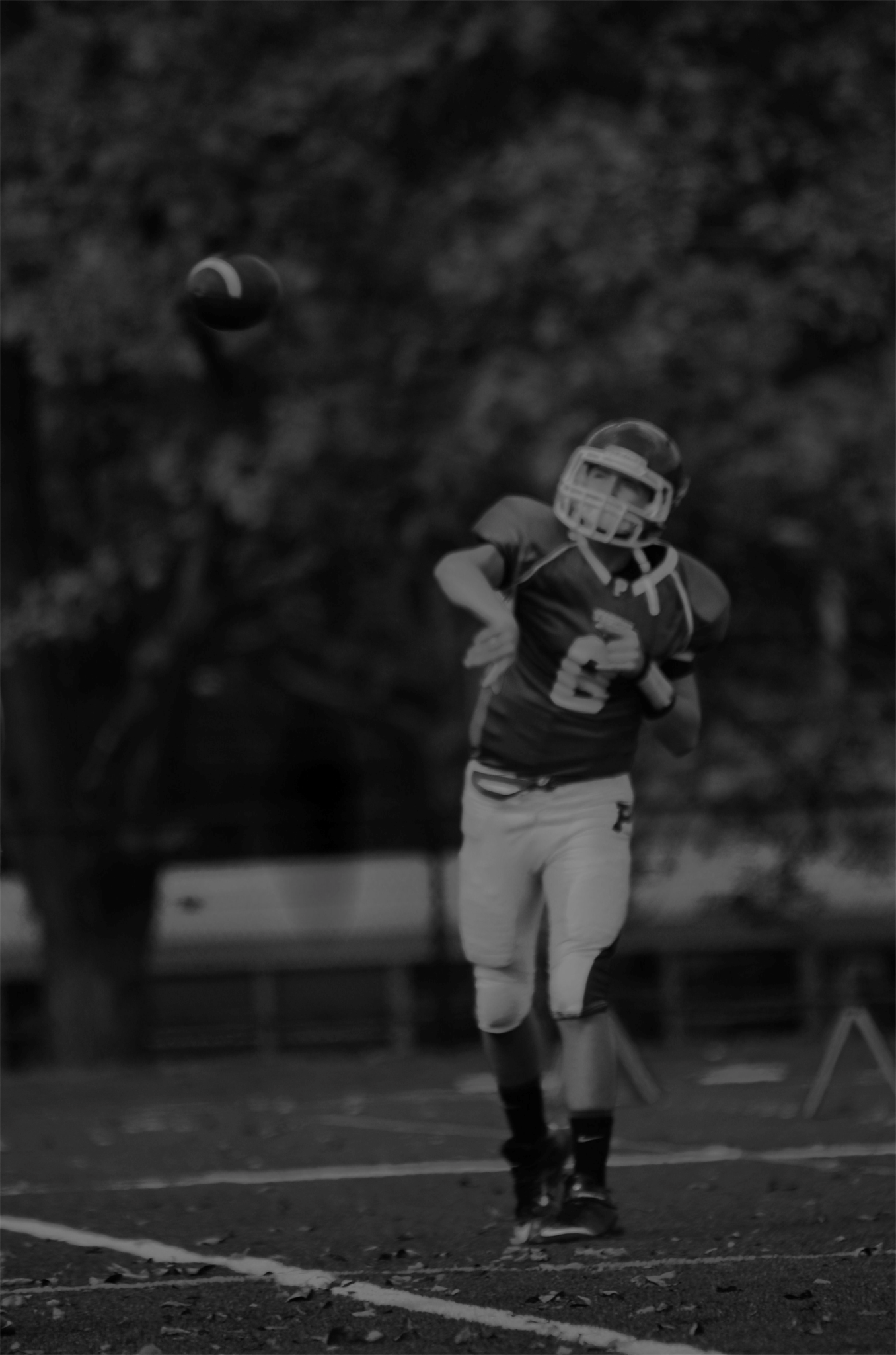Dave Beamer