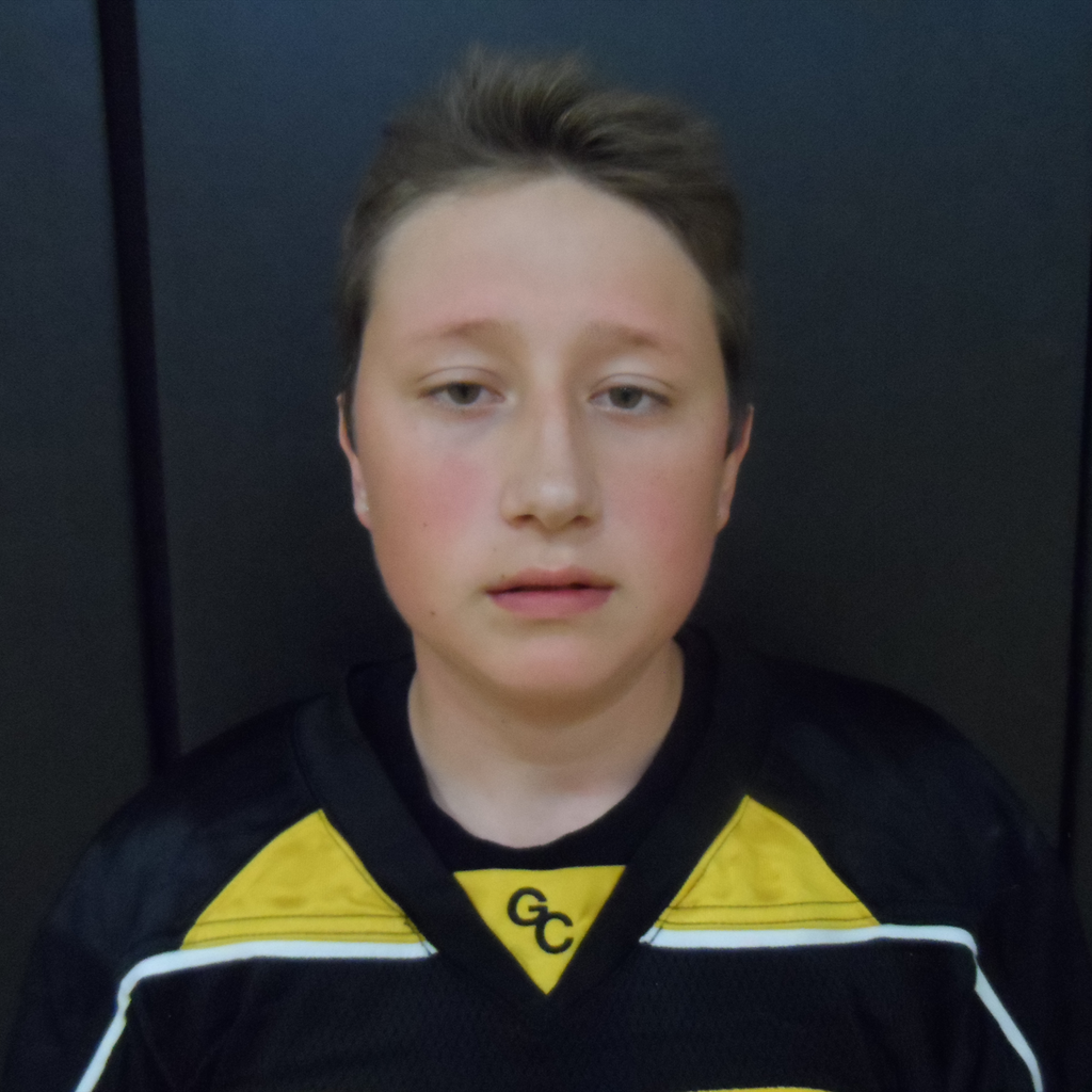 Isaiah Howell-Wood mugshot