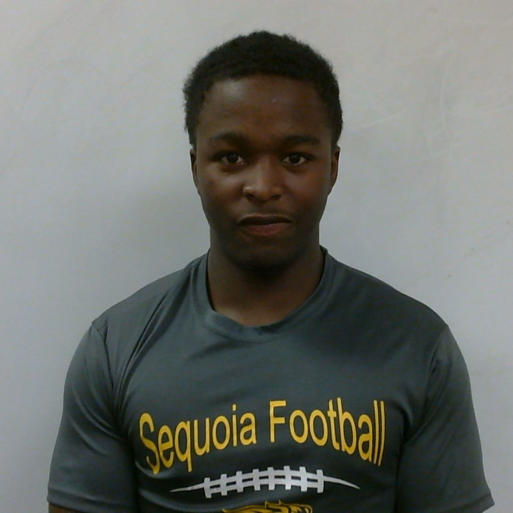 Jamon Roberson mugshot