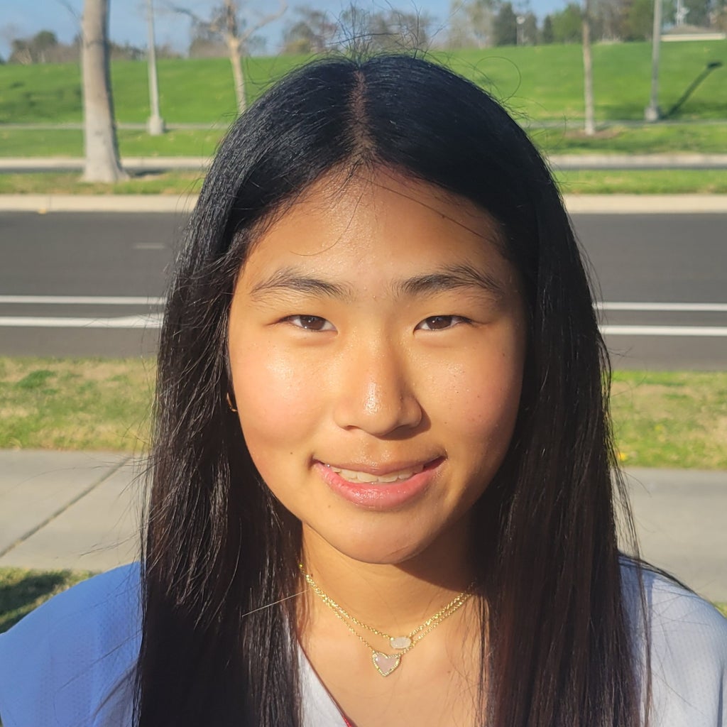 Allison Kim mugshot