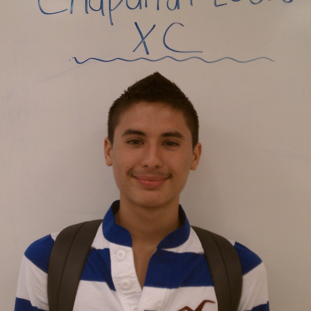 RICARDO NAJERA mugshot