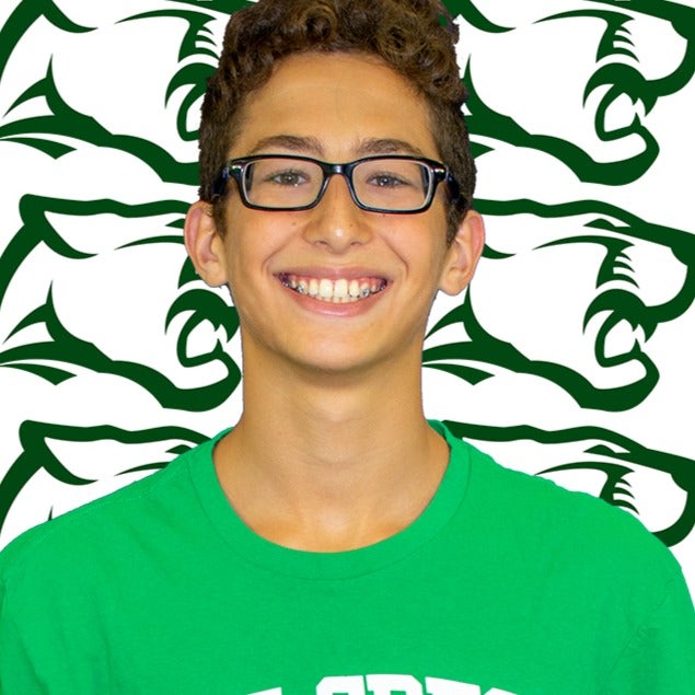 Roman Ferrara mugshot