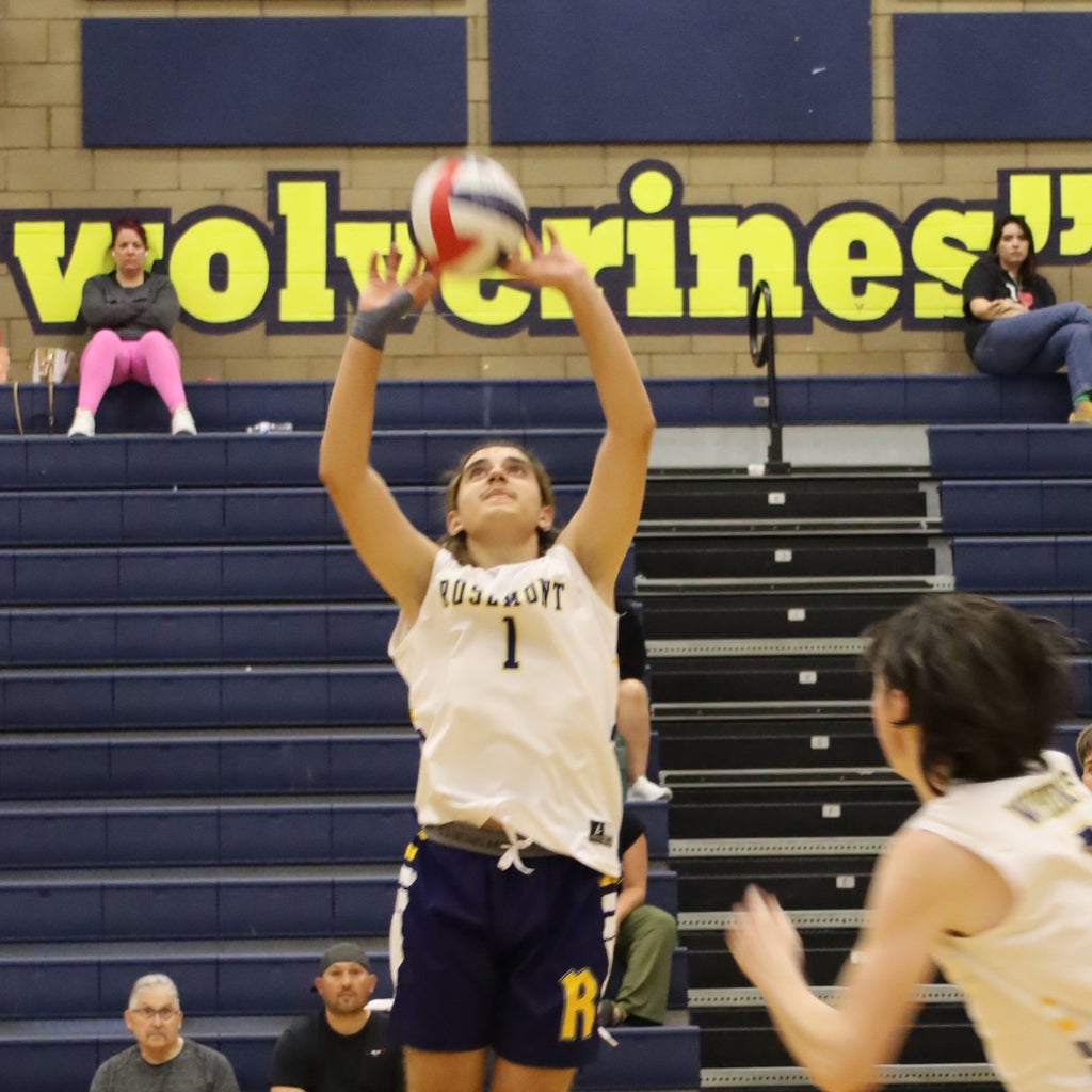 Aws (Harry) Almahtar mugshot