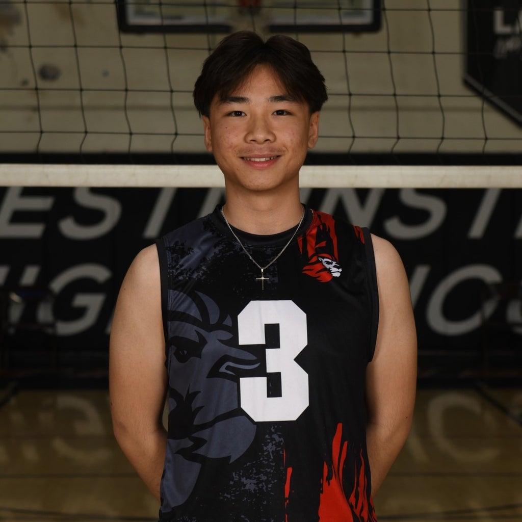 Aaron Truong mugshot