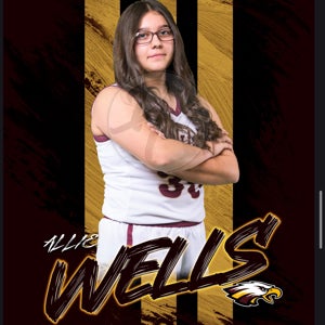 Allie Wells mugshot