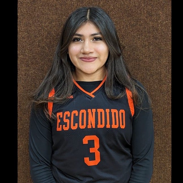 Arianna Palacios mugshot