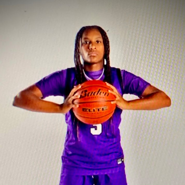 Andrielle Johnson mugshot