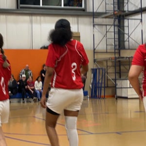 Tatiyanna Howell mugshot