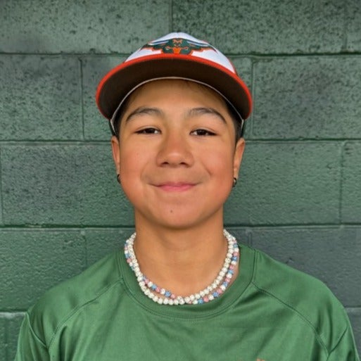 Andy Hernandez mugshot