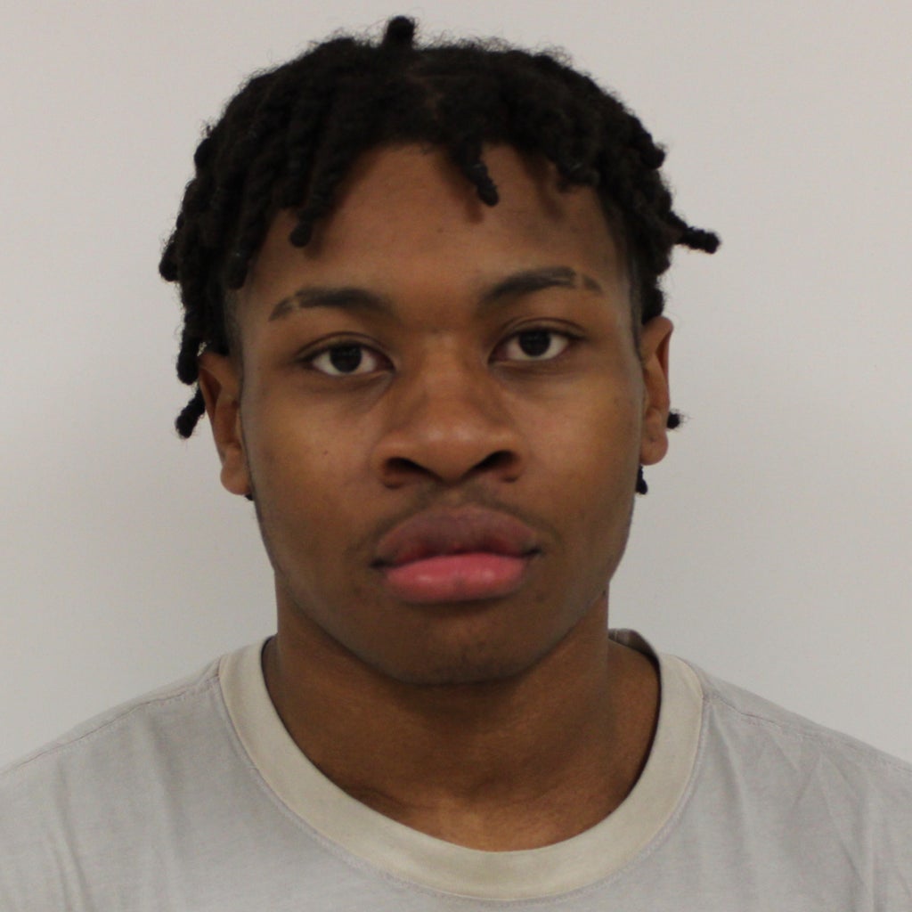 Ladarius Vines mugshot