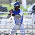 T. Patterson
