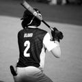 P. Bland