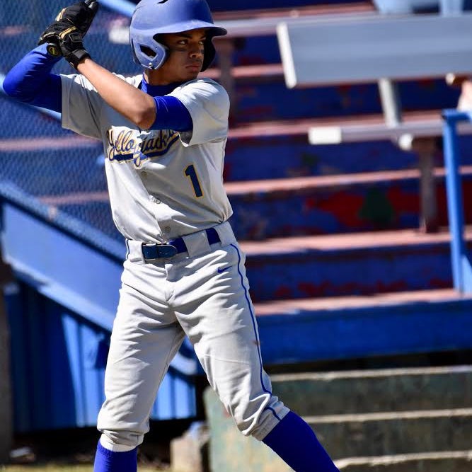 Yoedy Tavarez mugshot