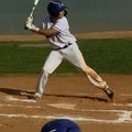 D. Foster