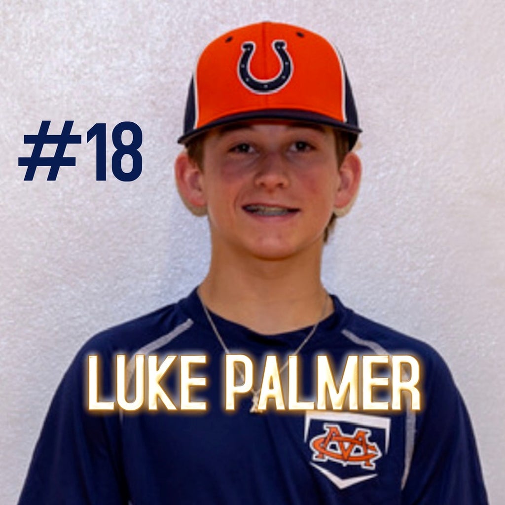 Palmer Luke