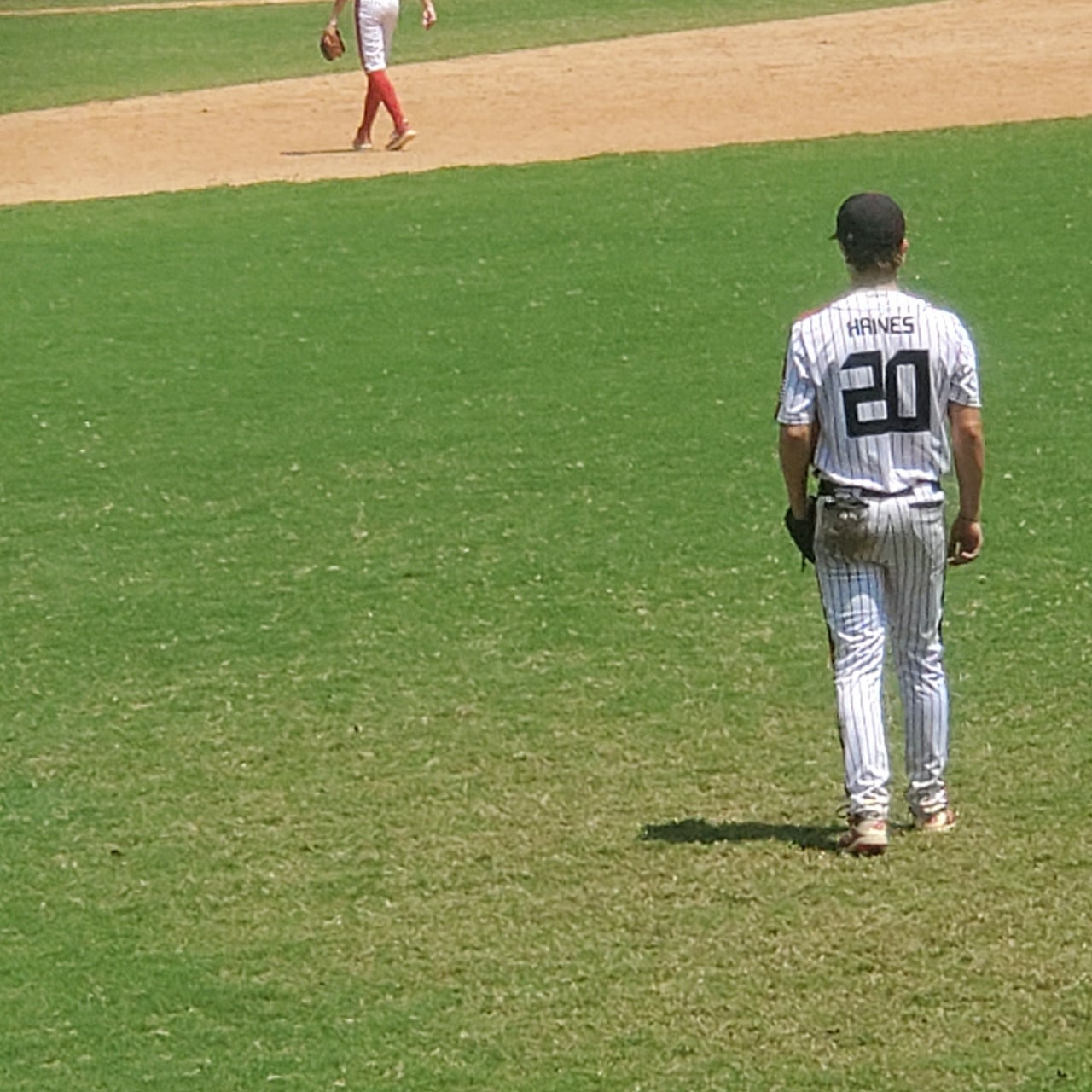 Landon Haines