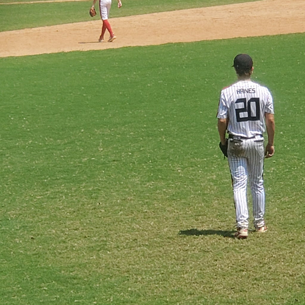 Landon Haines