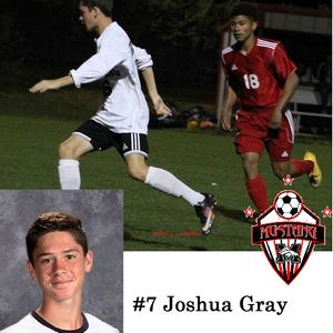 Josh Gray