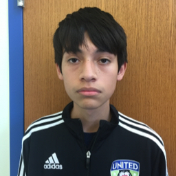 Johann Silva mugshot