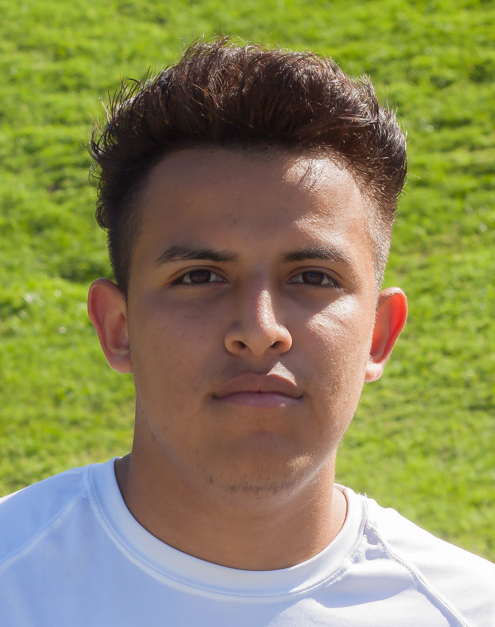 D. Manzano