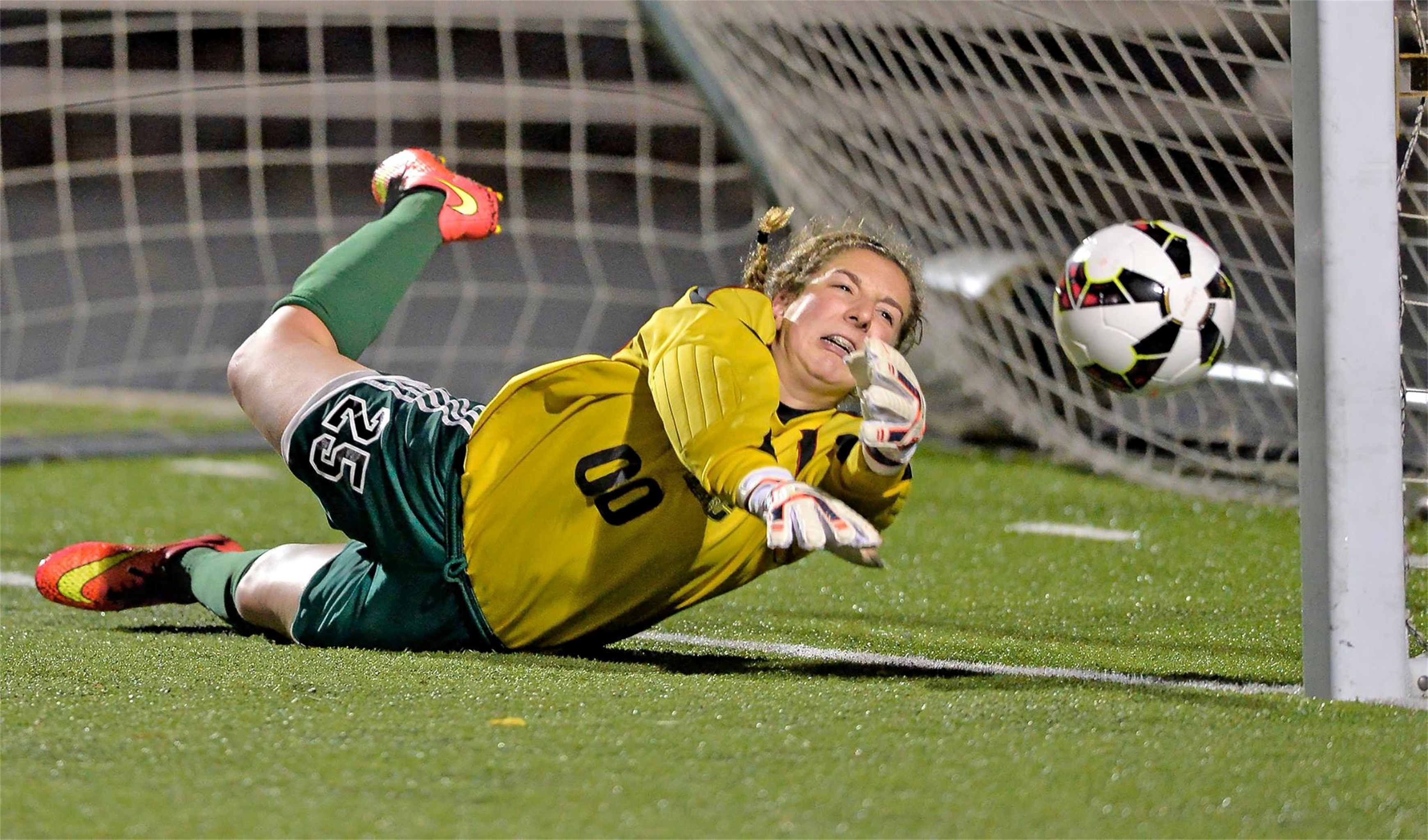Stevie Holbrook