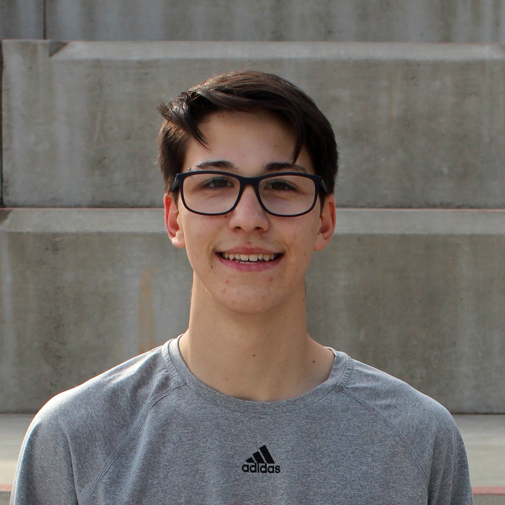 Gabriel Braga Teixeira