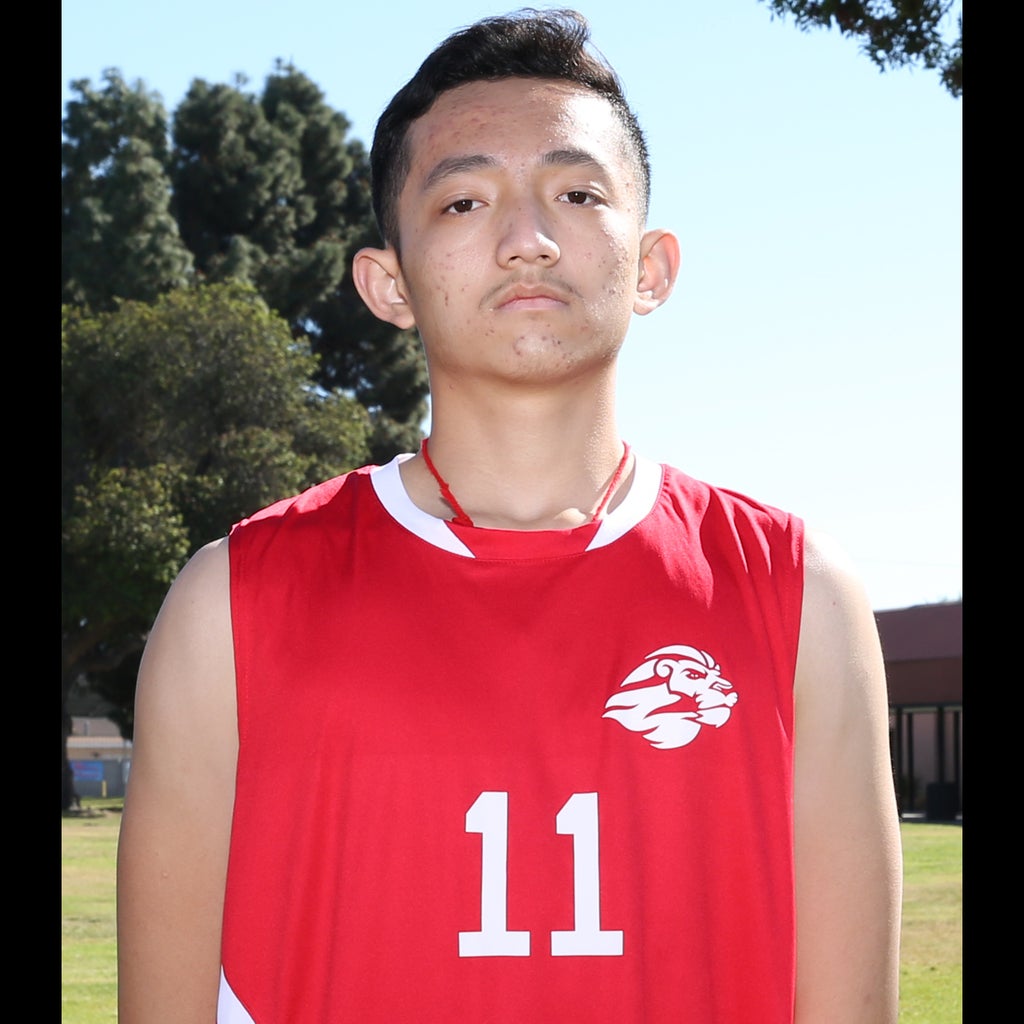 Tony Nguyen mugshot