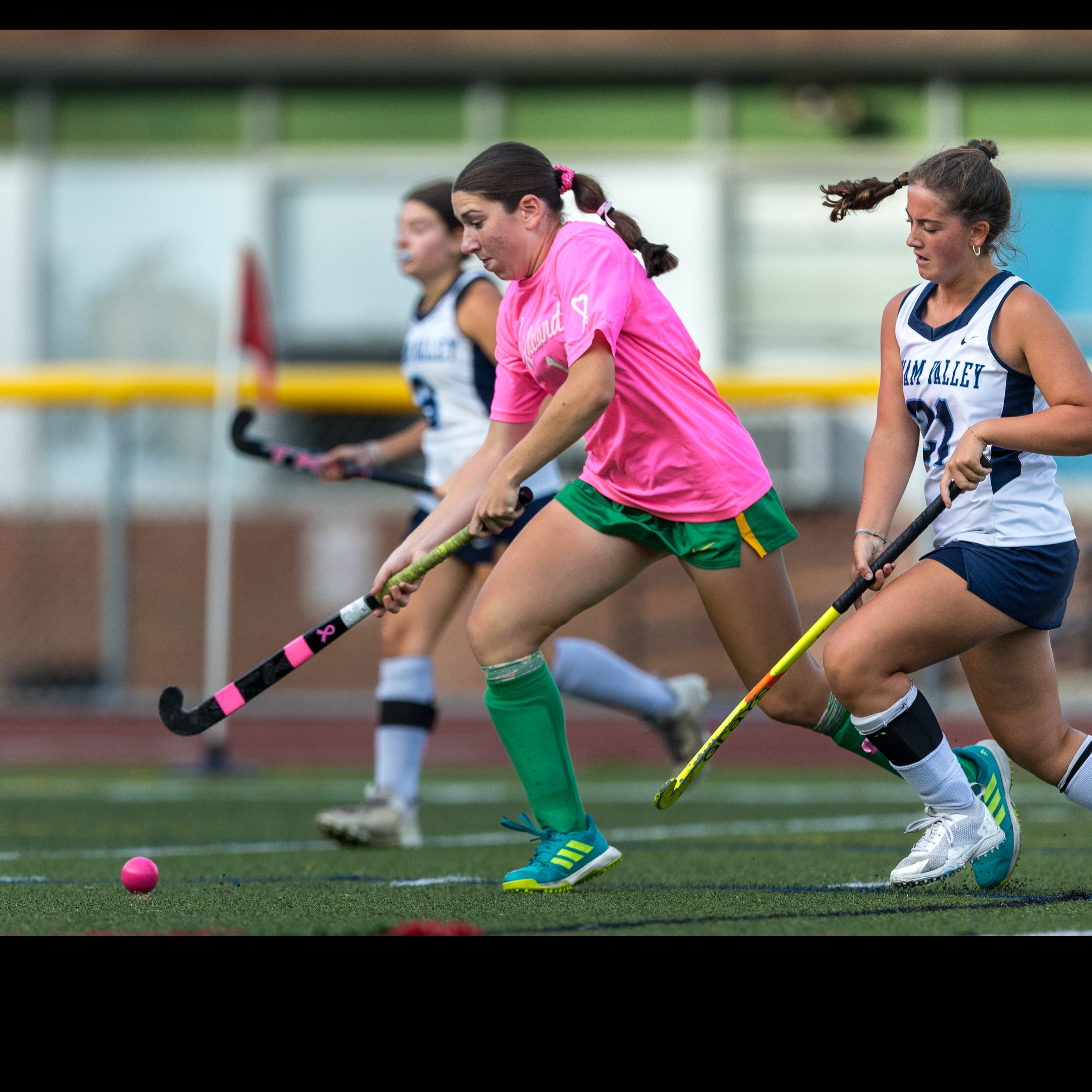 Gabriella Goldstein mugshot