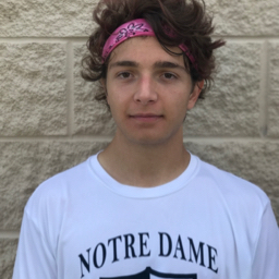 Matt D'Ortona