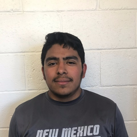 Luis Gonzales mugshot