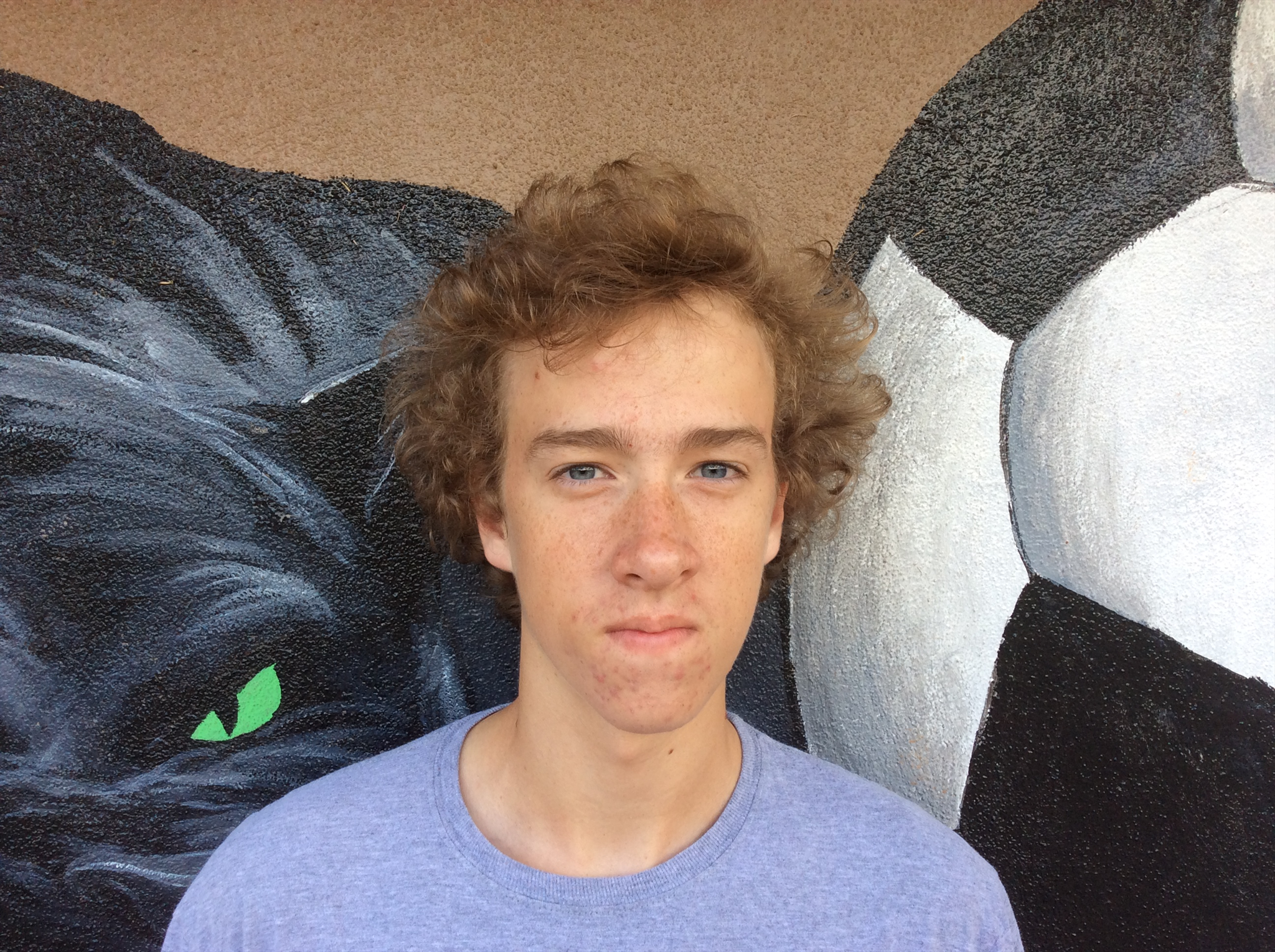 Andrew Lauffer mugshot