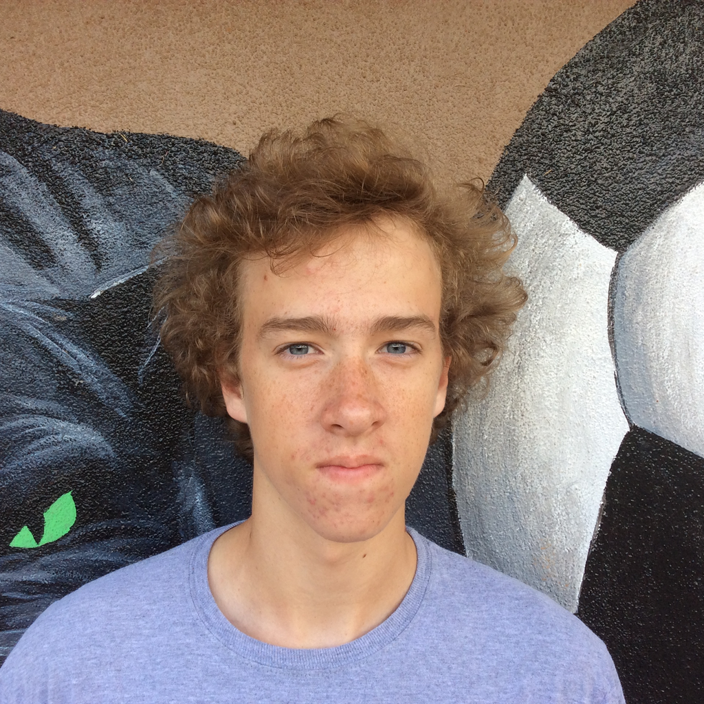 Andrew Lauffer